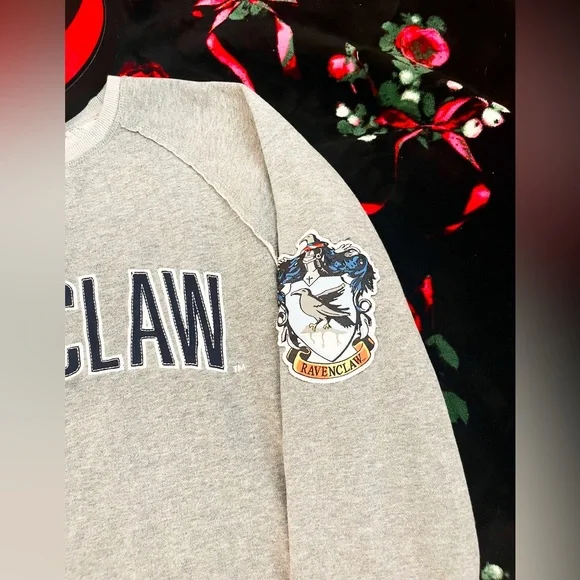 HARRY POTTER RAVENCLAW Hoodie, Rare Find, Size Small - Picture 2 of 4